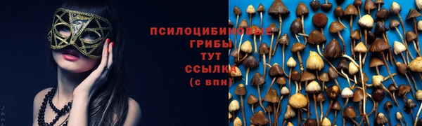 дмт Алексеевка