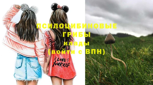 дмт Алексеевка
